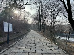 -高尔山公园
