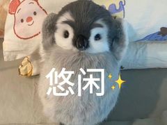 -梅飞酒家(名辉豪庭店)