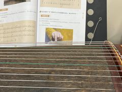 -秦汉胡同古筝围棋国学书院(罗湖分馆)