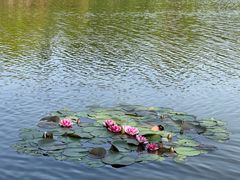 -浙江农林大学(东湖校区)