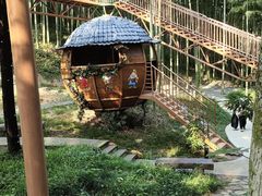 -东明山森林公园