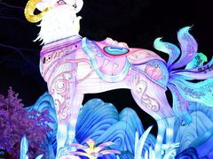 -厦门园林博览苑