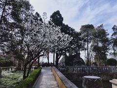 -灵岩山风景区