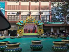 -西双版纳原始森林公园