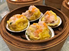 -顺悦酒家(嘉信城市广场店)