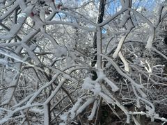 -崂山巨峰游览区
