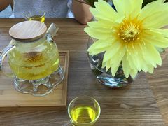 景点-上海长兴岛郊野公园