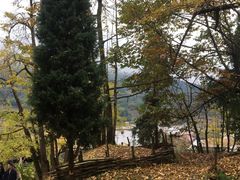 -南雄冯屋银杏山庄