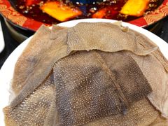 -三江两海老火锅(北京首店)