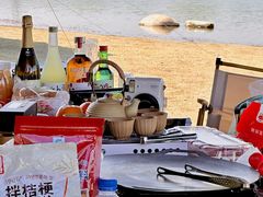 -上海滨江森林公园