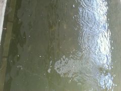 -小象钓虾·营地烧烤(洛溪店)