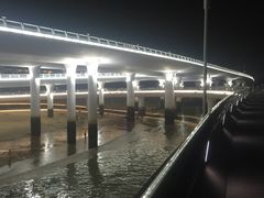 -演武大桥观景平台