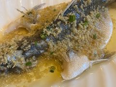 豉汁老虎斑-顺峰海鲜酒楼(省府店)