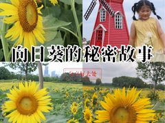 -苏州湾体育公园