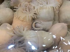 -宁海食府(大剧院店)