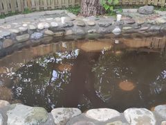 -稻香湖景欢乐岛温泉城堡