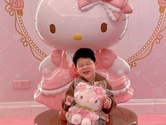 -安吉银润锦江城堡酒店(Hello Kitty主题乐园店)