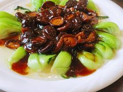 香菇菜心-黄狗猪头肉(运河路店)