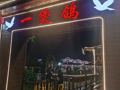 -一煲鸽
