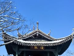 -三垟湿地
