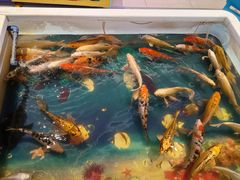 -奇异果(路劲世界广场店)