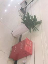 -深圳阳光医疗美容医院·旗舰店