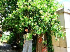 -大冰的小屋