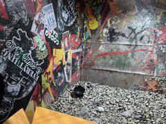 -不可思议减压馆·解压博物馆·摔碗发泄·团建定制