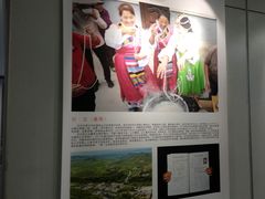 -金陵图书馆