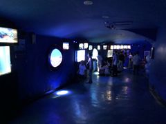 -烟台海昌鲸鲨海洋公园