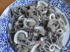 爆牛百叶-东兴顺爆肚张