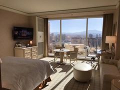 -拉斯维加斯永利酒店