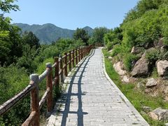 -白水寺森林公园