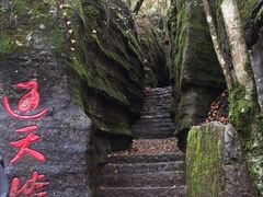-黎坪国家森林公园