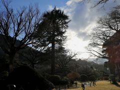 -ステーキハウス吉池