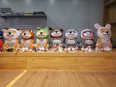 -柴务处·柴犬主题狗咖