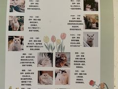 -小时光咖啡馆(北锣鼓巷店)