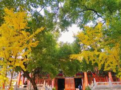 -宝通禅寺