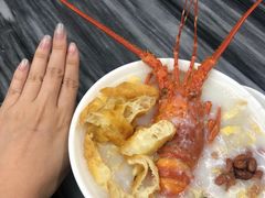 -新会鲜蚝鸡煲(新会总店)