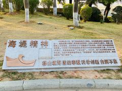 -海堤纪念公园