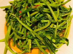 飞天酱炒通菜-新越盏·东南亚料理(捷登都会店)