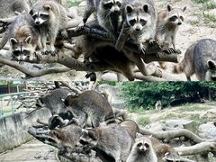 -宁波野生动物园