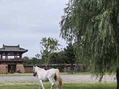 -定鼎门遗址博物馆
