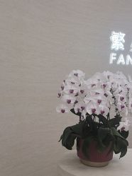 -繁星轻医美连锁