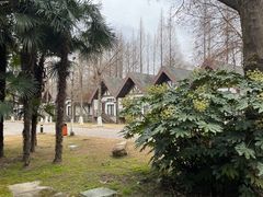 -太阳岛度假酒店