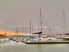 -香港东海海鲜酒家