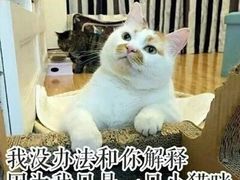 -一兆韦德健身(梅川店)