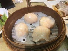 -添好运点心专门店(北角店)