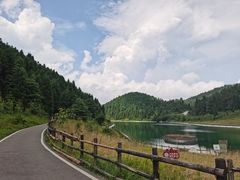 -武陵山森林公园