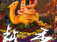 -越秀西湖花市(广州城市广场花卉店)
